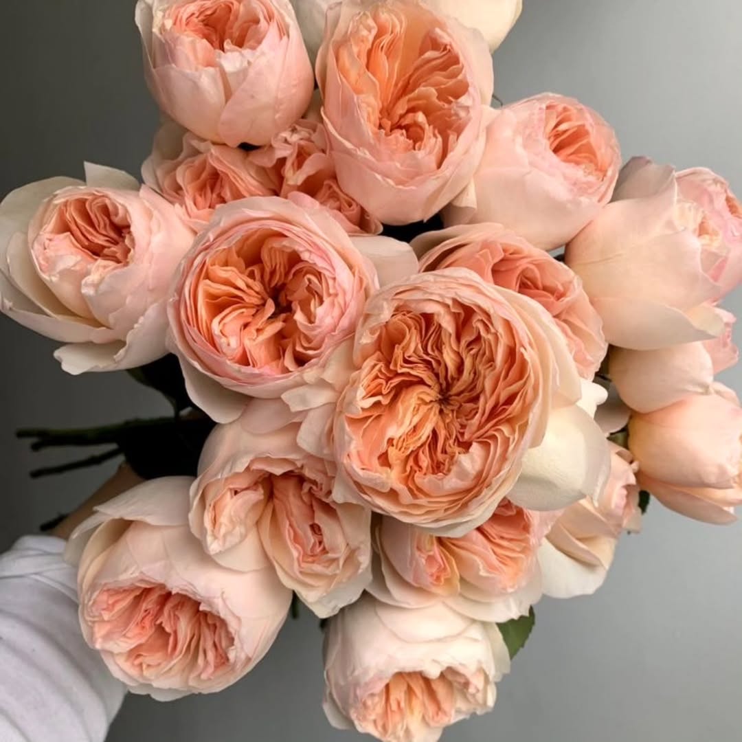 25 Valentine's Day Date Night Ideas In Arizona For 2025 | Living In ...