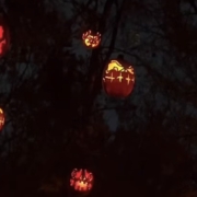 Halloween Treats You To These 15 Fun Things To Do In Arizona | Phoenix Arizona Real Estate | Vestis Group